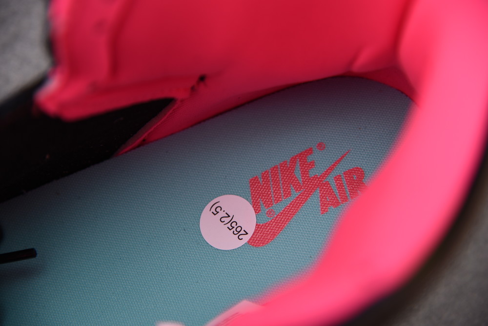 Air Jordan 1 Retro High Tokyo Bio Hack 555088 201